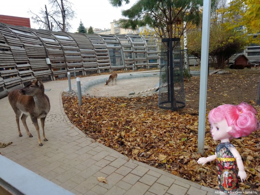 Два зоопарка. Московский — Игровые куклы разных производителей (Разное): редкие бренды