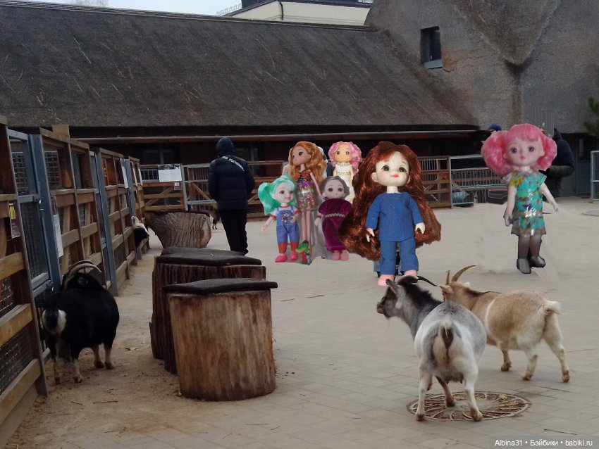 Два зоопарка. Московский — Игровые куклы разных производителей (Разное): редкие бренды