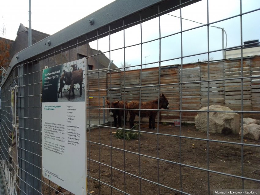 Два зоопарка. Московский — Игровые куклы разных производителей (Разное): редкие бренды