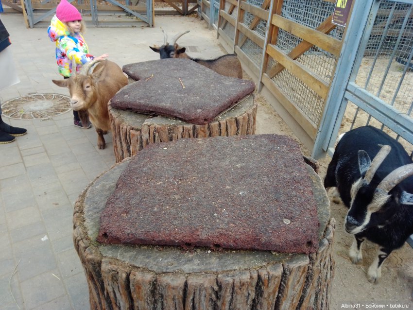 Два зоопарка. Московский — Игровые куклы разных производителей (Разное): редкие бренды