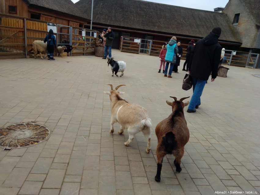 Два зоопарка. Московский — Игровые куклы разных производителей (Разное): редкие бренды