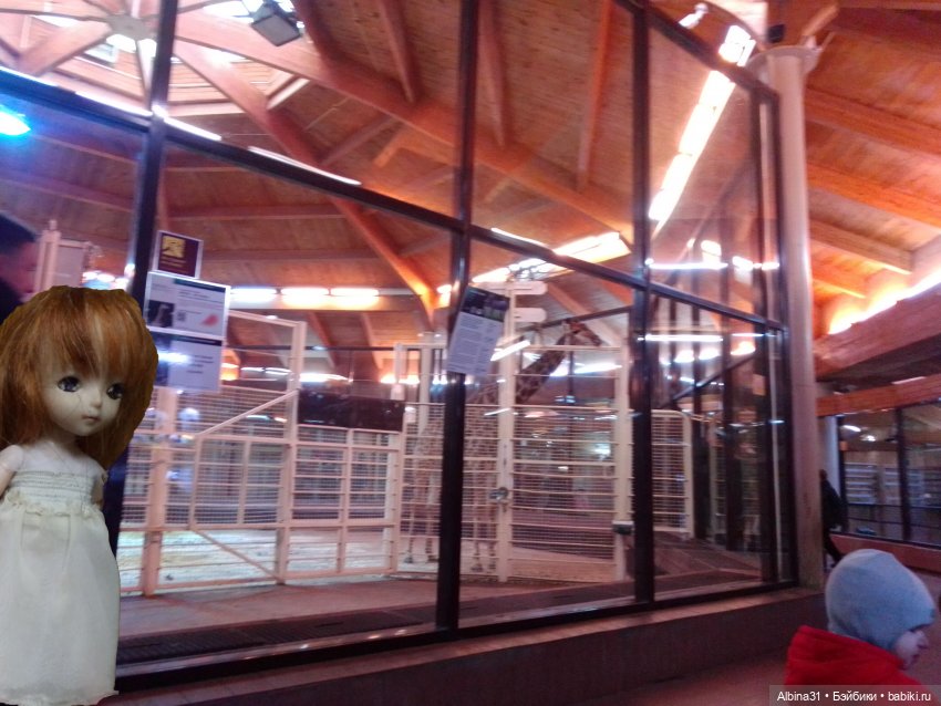 Два зоопарка. Московский (продолжение) (фото 6)