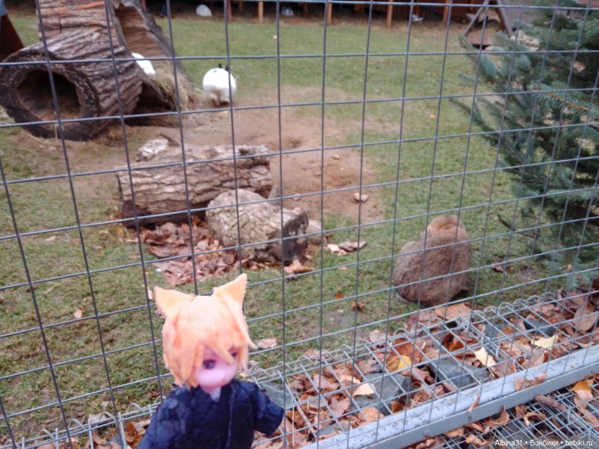 Два зоопарка. Московский (продолжение)