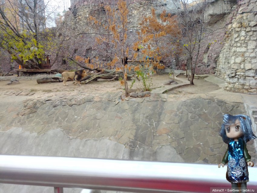 Два зоопарка. Московский (продолжение)