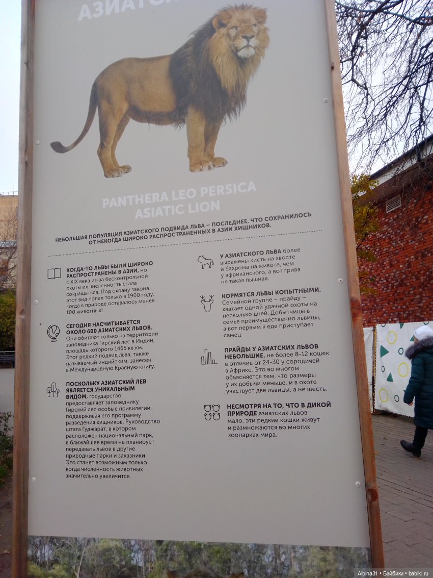 Два зоопарка. Московский (продолжение)