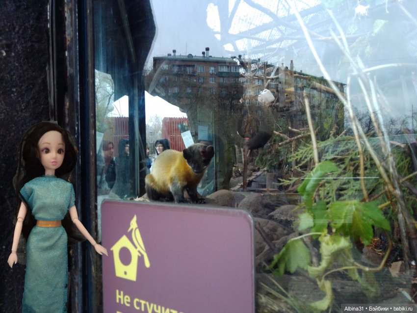Два зоопарка. Московский (продолжение)