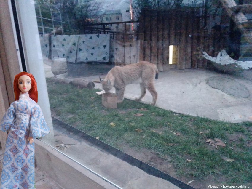 Два зоопарка. Московский (продолжение)