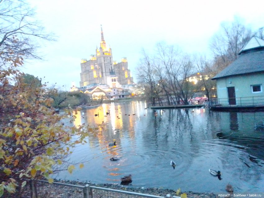 Два зоопарка. Московский (продолжение)