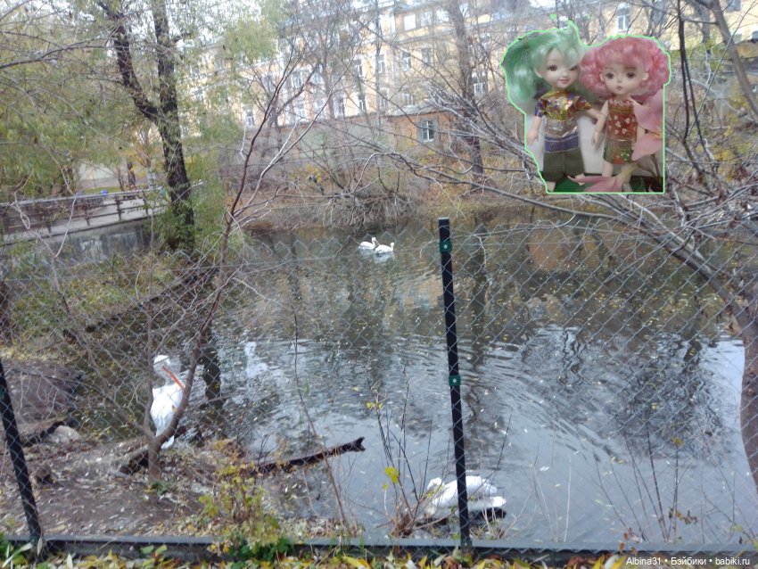 Два зоопарка. Московский (продолжение)