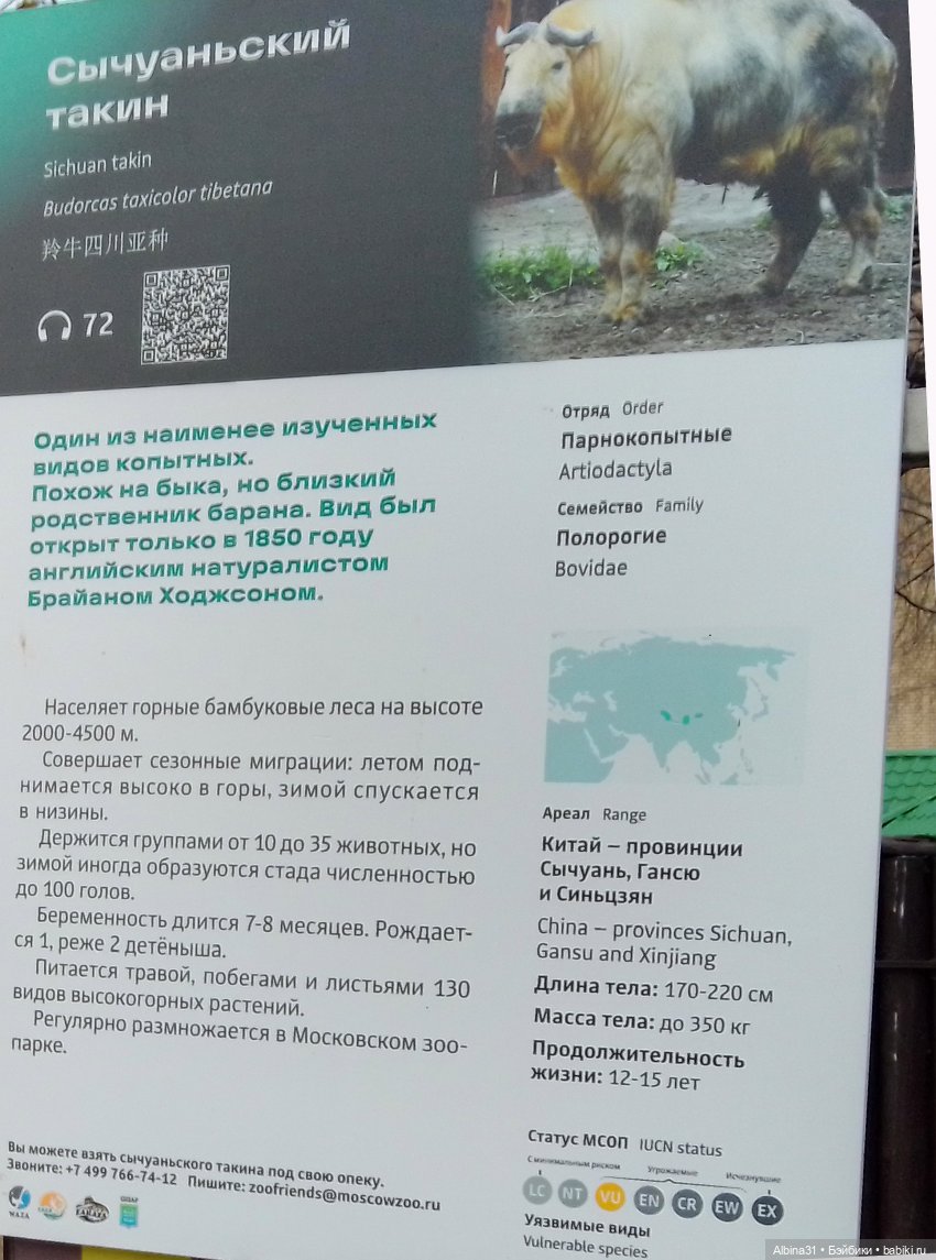 Два зоопарка. Московский (продолжение)