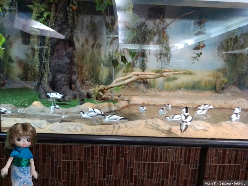 Два зоопарка. Московский (продолжение)