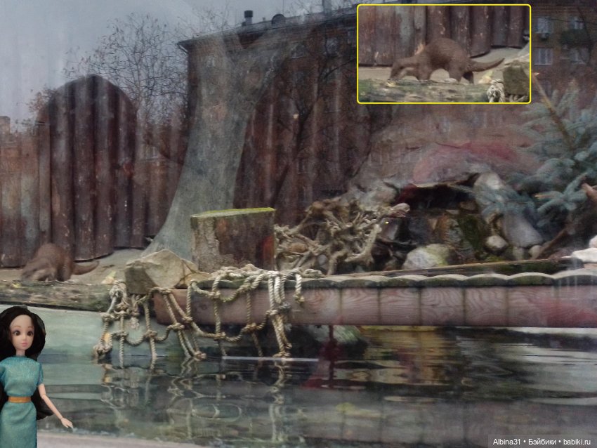 Два зоопарка. Московский (продолжение)