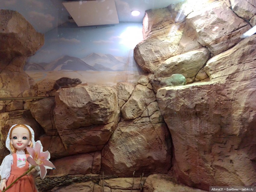 Два зоопарка. Московский (продолжение)