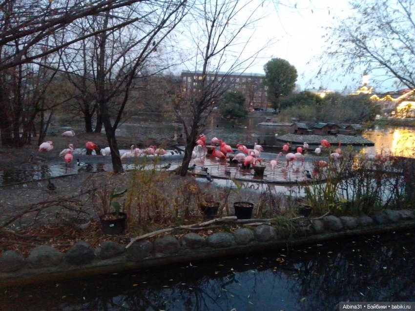 Два зоопарка. Московский (продолжение)