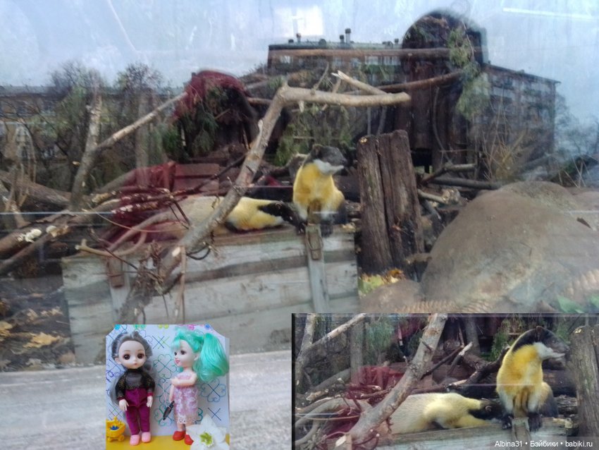 Два зоопарка. Московский (продолжение)