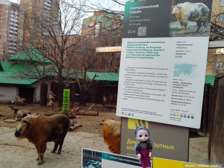 Два зоопарка. Московский (продолжение)