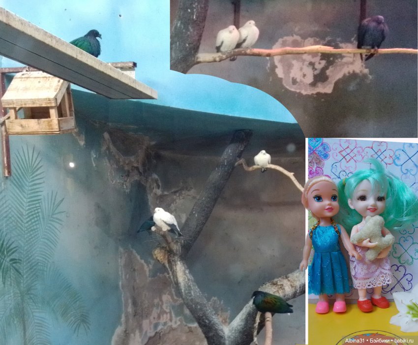 Два зоопарка. Московский (продолжение)