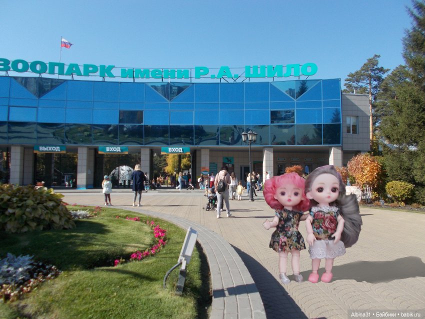 Два зоопарка. Новосибирский