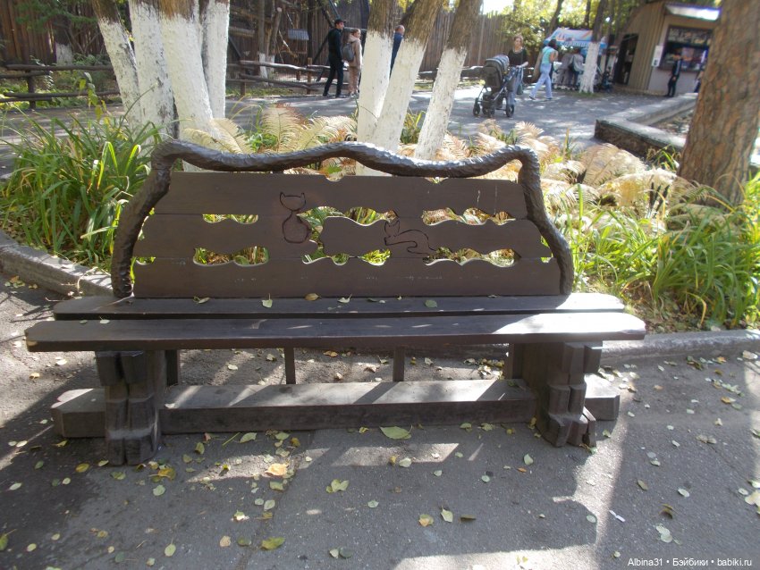 Два зоопарка. Новосибирский (фото 6)