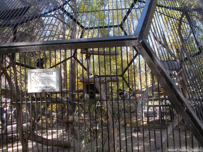 Два зоопарка. Новосибирский (фото 9)