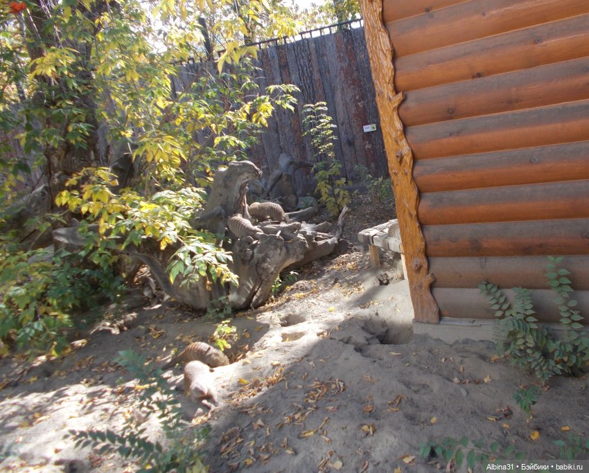 Два зоопарка. Новосибирский