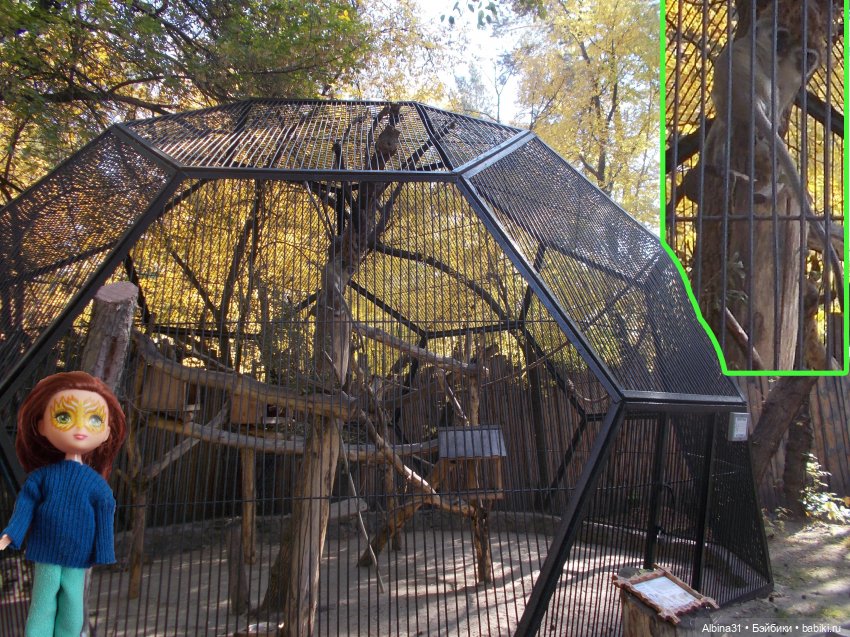 Два зоопарка. Новосибирский (фото 8)