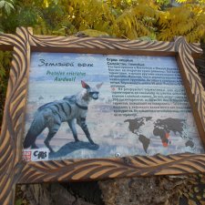 Два зоопарка. Новосибирский