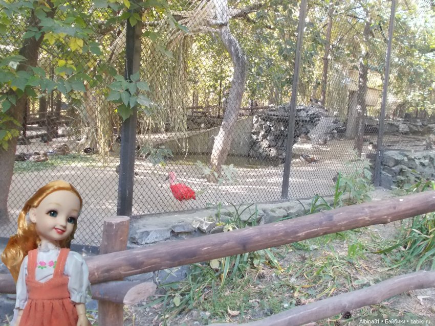 Два зоопарка. Новосибирский