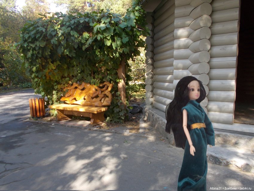 Два зоопарка. Новосибирский