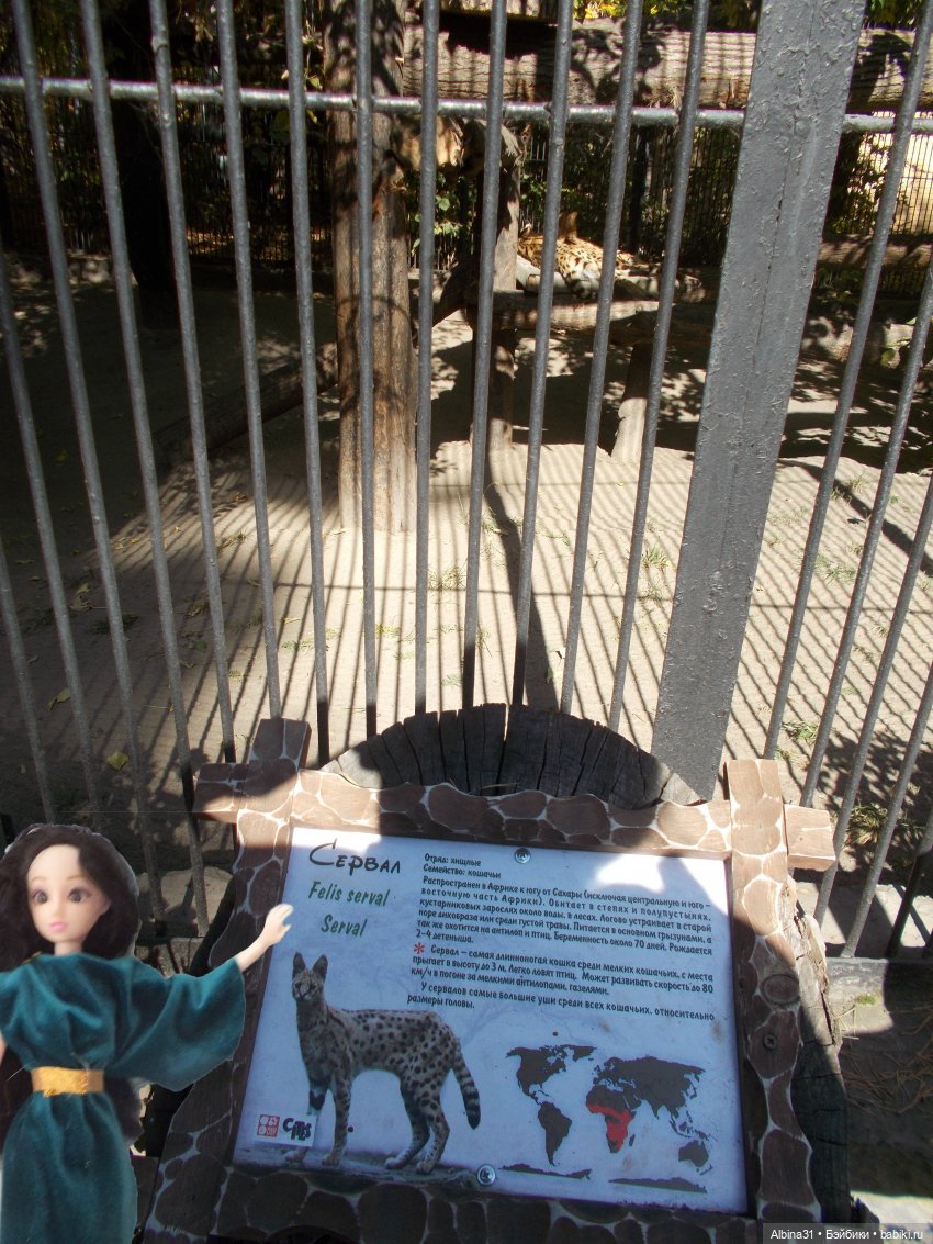 Два зоопарка. Новосибирский