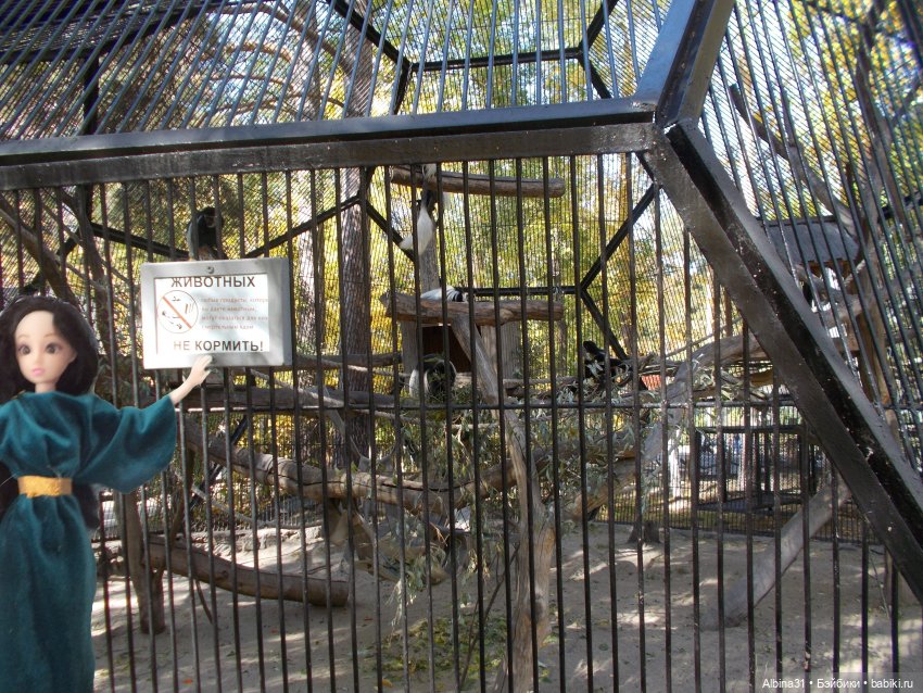 Два зоопарка. Новосибирский