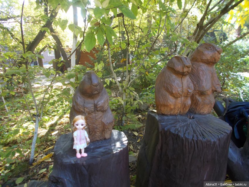 Два зоопарка. Новосибирский