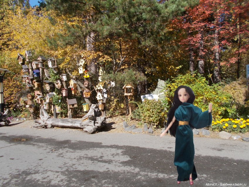 Два зоопарка. Новосибирский