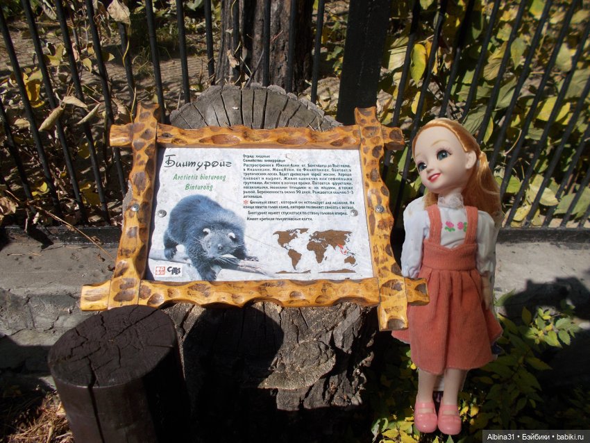 Два зоопарка. Новосибирский