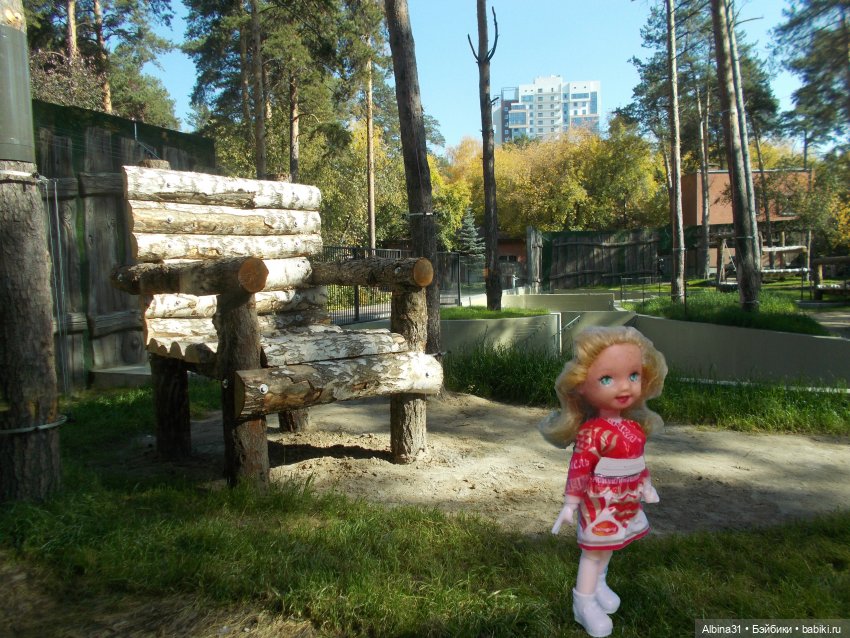 Два зоопарка. Новосибирский