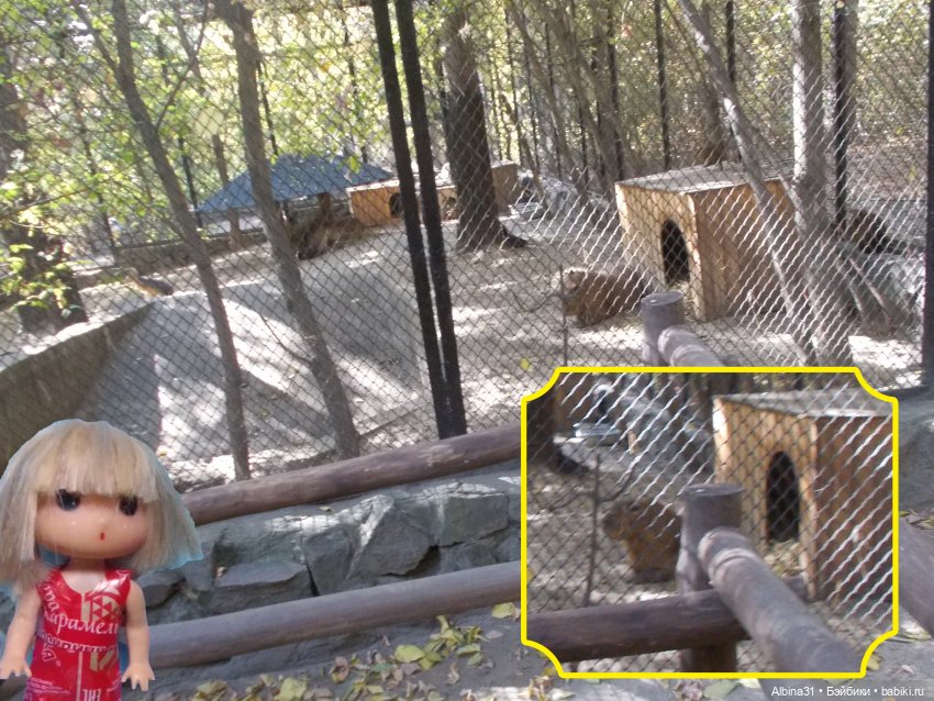 Два зоопарка. Новосибирский