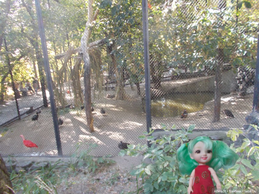 Два зоопарка. Новосибирский