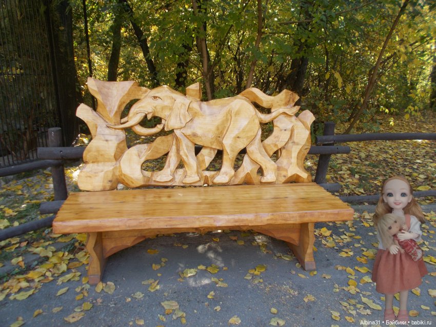 Два зоопарка. Новосибирский