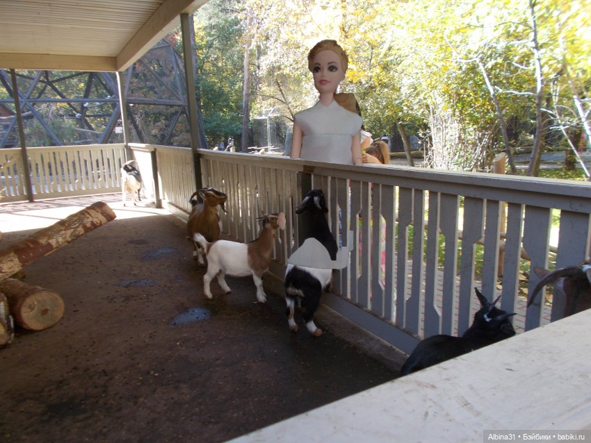 Два зоопарка. Новосибирский