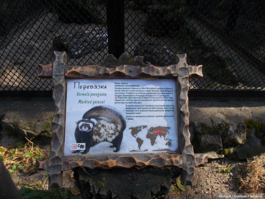 Два зоопарка... Новосибирский (окончание)