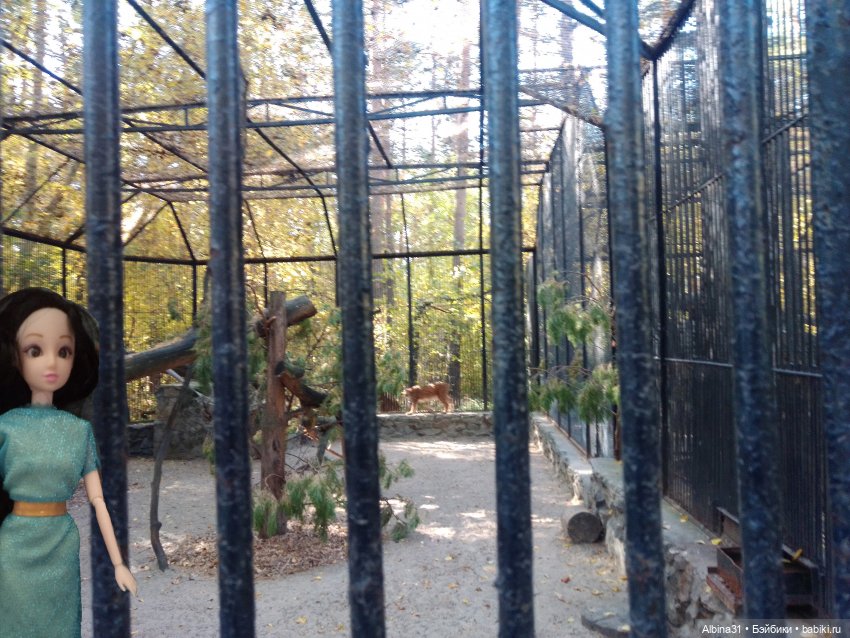 Два зоопарка... Новосибирский (окончание)