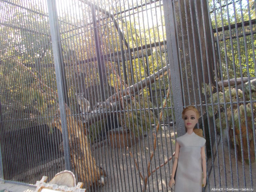 Два зоопарка... Новосибирский (окончание) (фото 5)