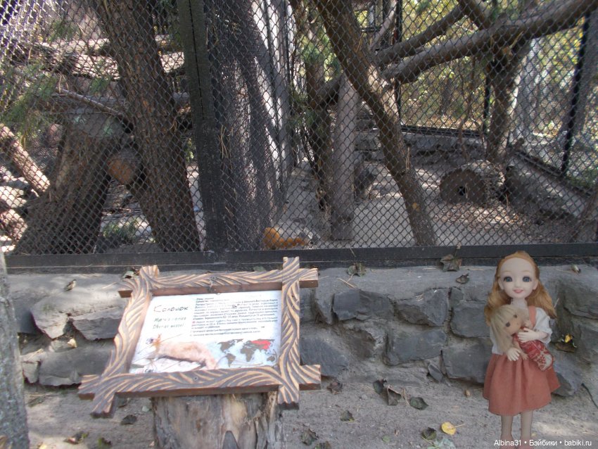 Два зоопарка... Новосибирский (окончание) (фото 9)