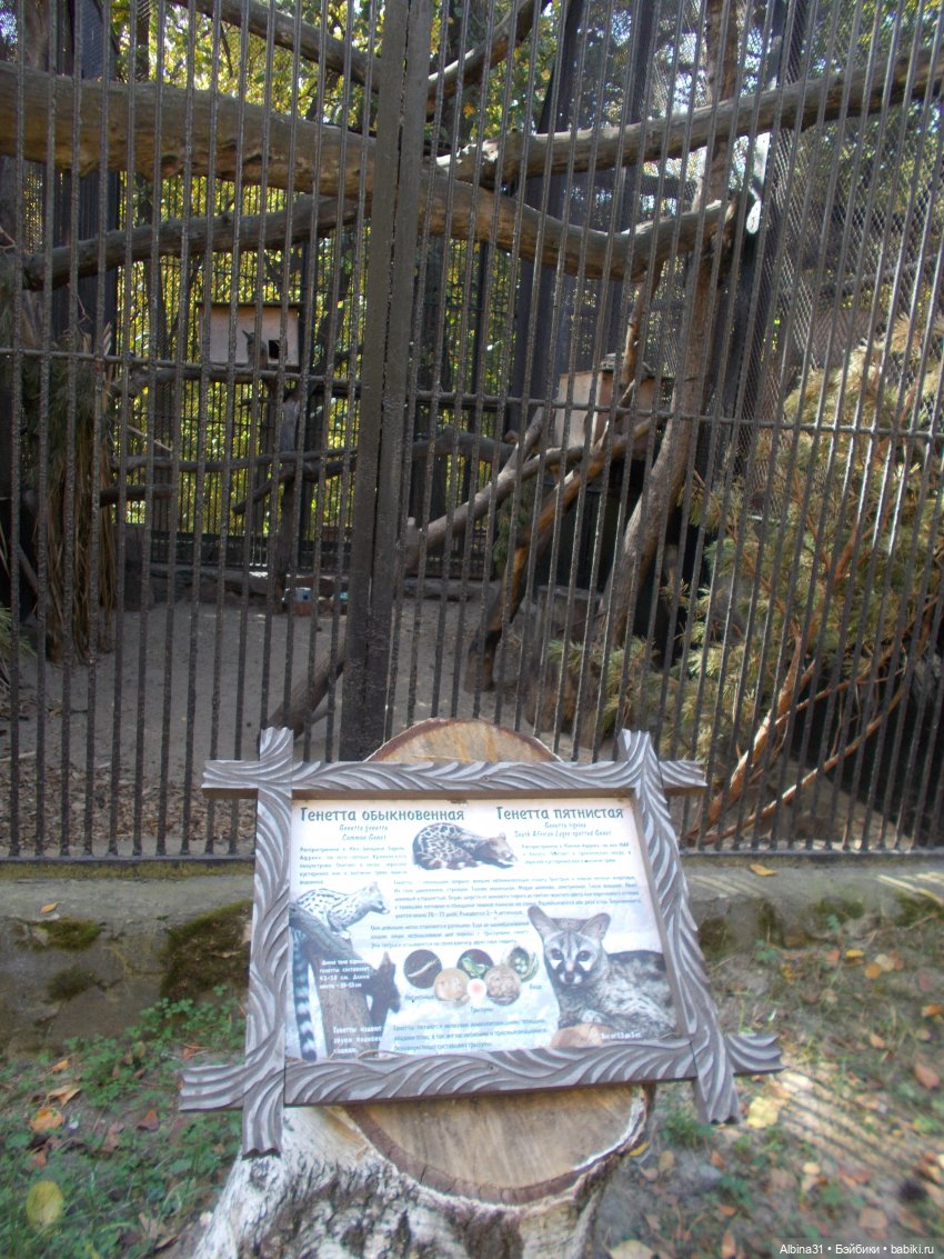 Два зоопарка... Новосибирский (окончание) (фото 2)