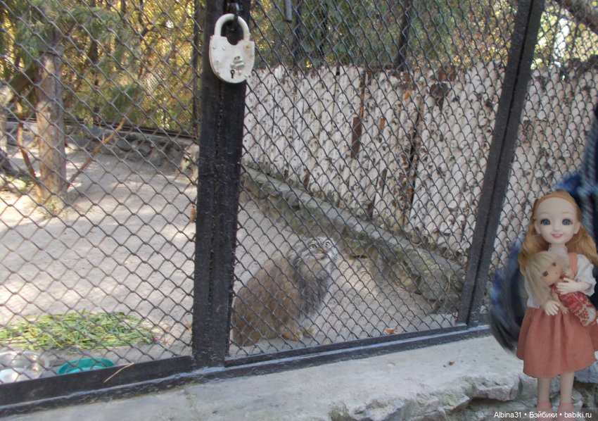 Два зоопарка... Новосибирский (окончание)