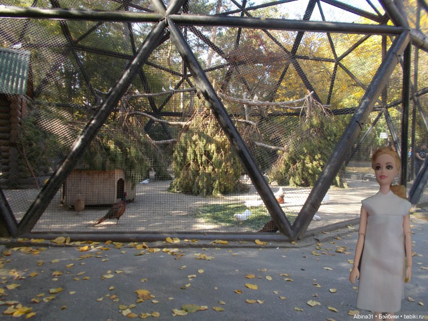 Два зоопарка... Новосибирский (окончание)