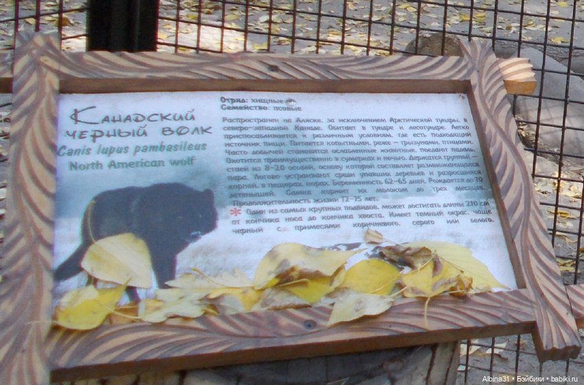 Два зоопарка... Новосибирский (окончание)