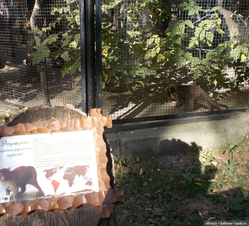 Два зоопарка... Новосибирский (окончание)