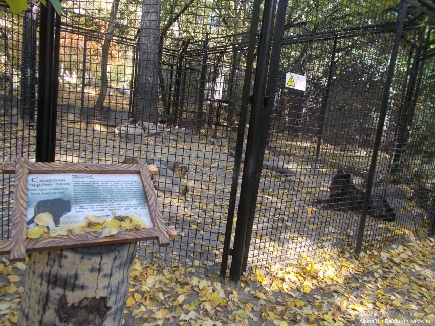 Два зоопарка... Новосибирский (окончание)