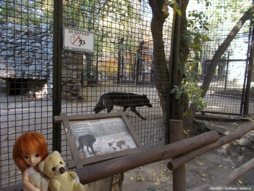 Два зоопарка... Новосибирский (окончание)